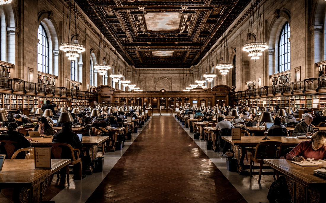 ERIC KLINENBERG: Libraries are Palaces for the People